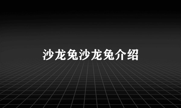 沙龙兔沙龙兔介绍
