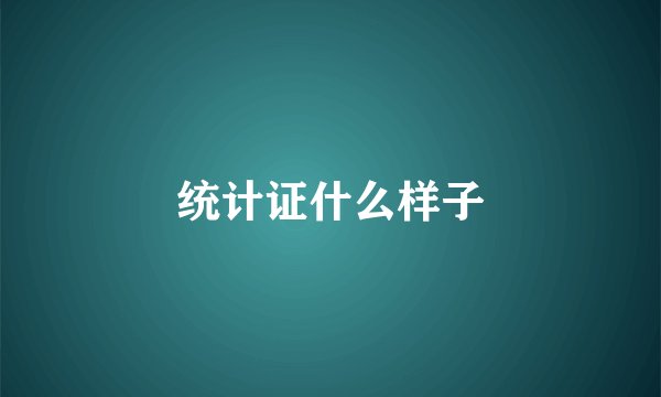 统计证什么样子