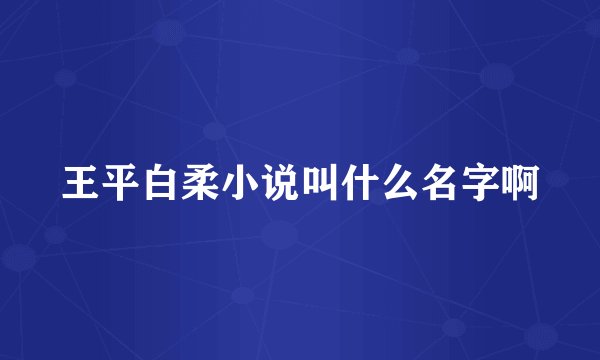 王平白柔小说叫什么名字啊