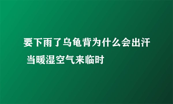 要下雨了乌龟背为什么会出汗 当暖湿空气来临时