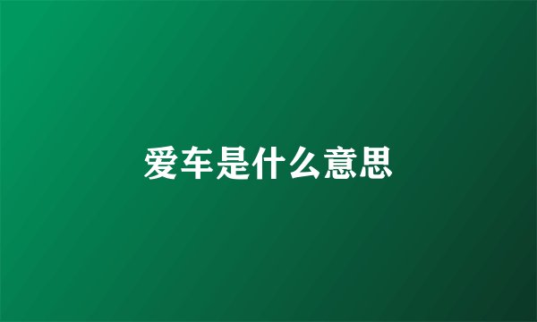 爱车是什么意思