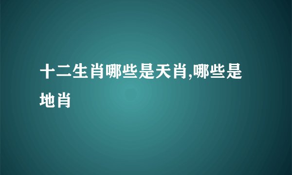 十二生肖哪些是天肖,哪些是地肖