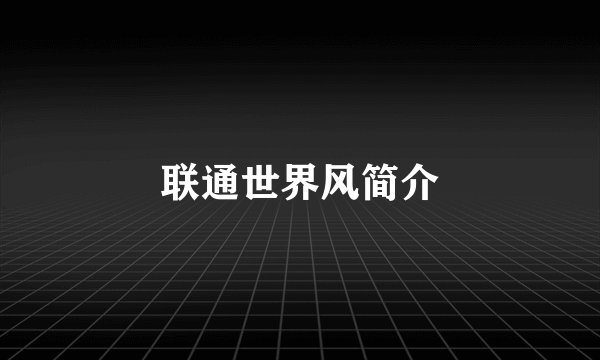 联通世界风简介