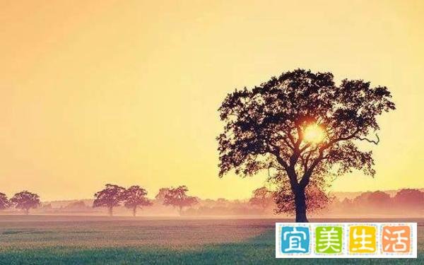 《庄子》：过分的偏执，后果很严重