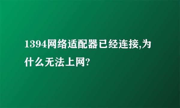 1394网络适配器已经连接,为什么无法上网?