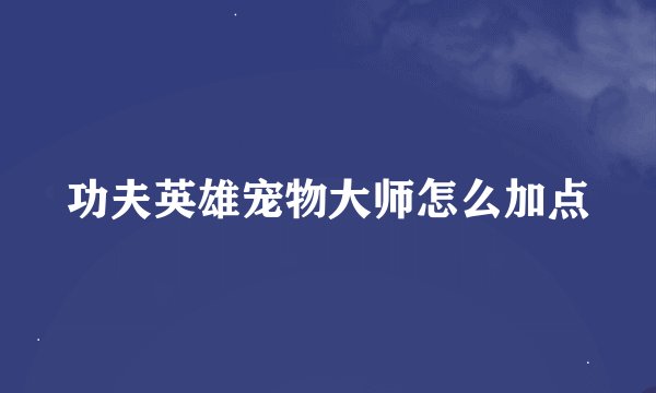 功夫英雄宠物大师怎么加点