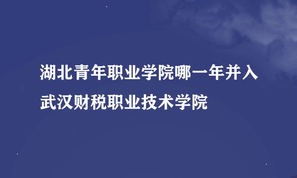 湖北青年职业学院哪一年并入武汉财税职业技术学院