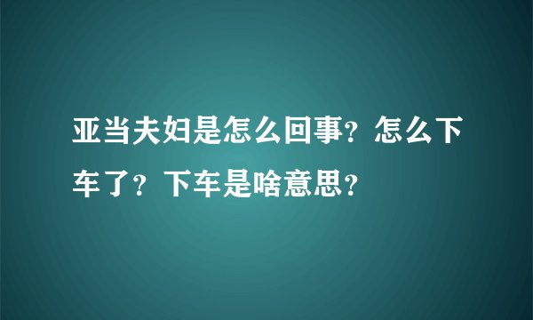 亚当夫妇是怎么回事？怎么下车了？下车是啥意思？
