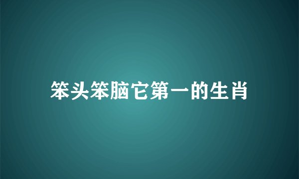 笨头笨脑它第一的生肖