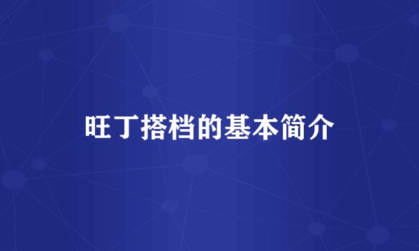 旺丁搭档的基本简介