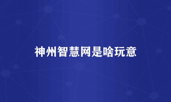 神州智慧网是啥玩意