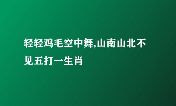 轻轻鸡毛空中舞,山南山北不见五打一生肖