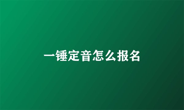 一锤定音怎么报名