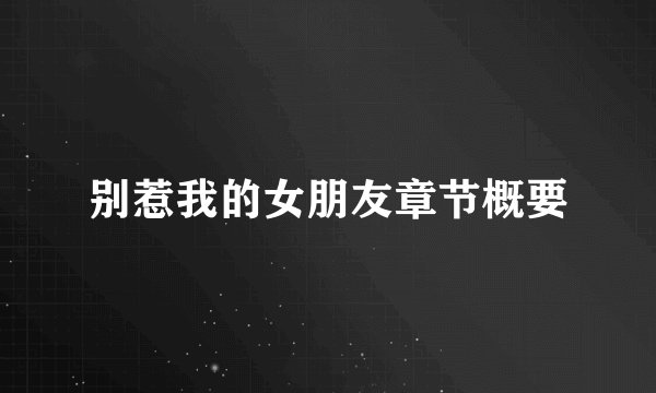 别惹我的女朋友章节概要