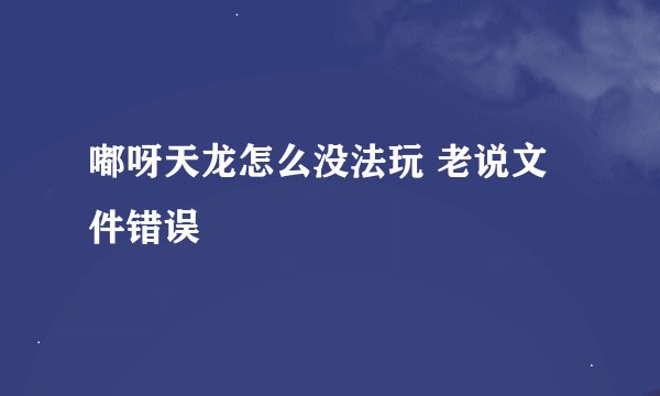 嘟呀天龙怎么没法玩 老说文件错误