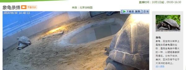 百度动物园怎么发弹幕