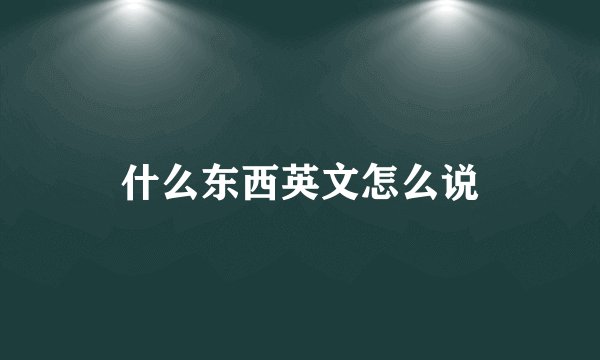 什么东西英文怎么说