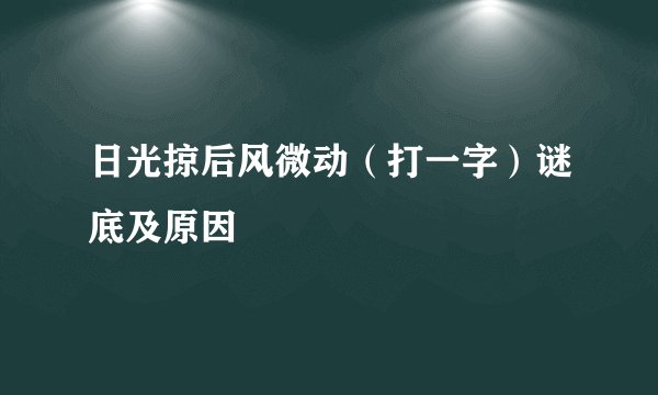 日光掠后风微动（打一字）谜底及原因