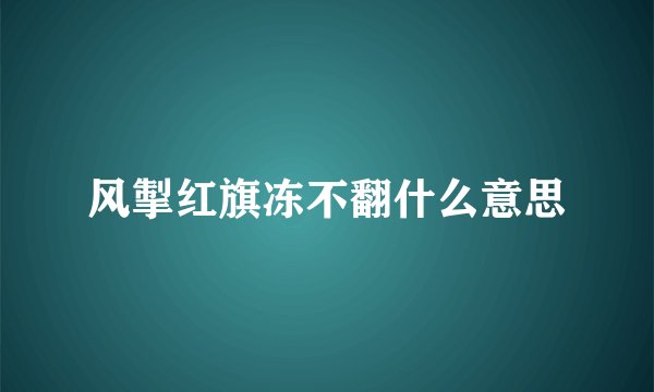 风掣红旗冻不翻什么意思