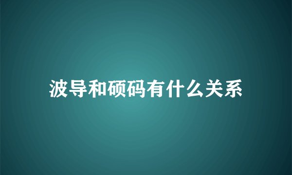 波导和硕码有什么关系