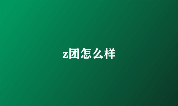 z团怎么样
