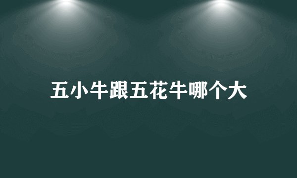 五小牛跟五花牛哪个大