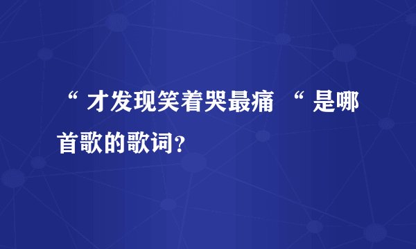 “ 才发现笑着哭最痛 “ 是哪首歌的歌词？