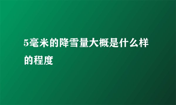 5毫米的降雪量大概是什么样的程度