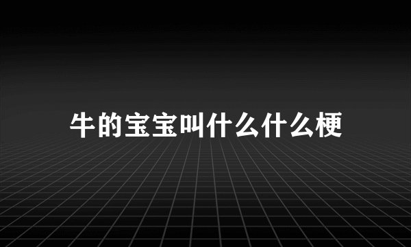 牛的宝宝叫什么什么梗