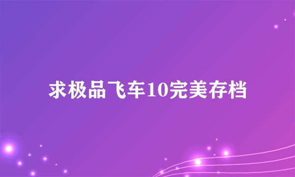 求极品飞车10完美存档