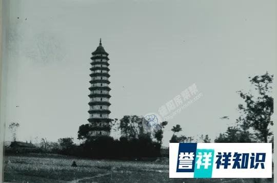 穿越157年，9岁的皇帝不知道德阳“有凤来仪”