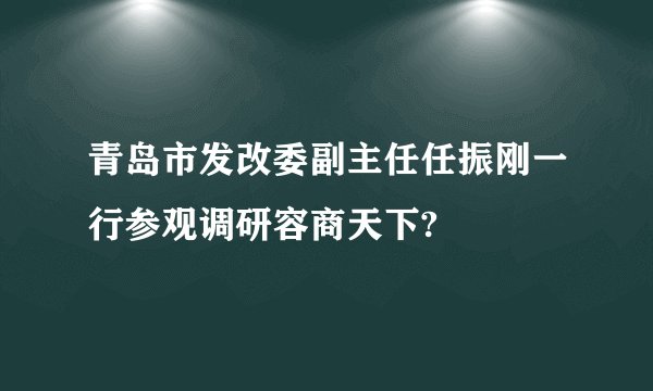 青岛市发改委副主任任振刚一行参观调研容商天下?