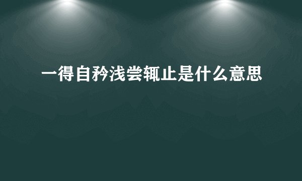 一得自矜浅尝辄止是什么意思