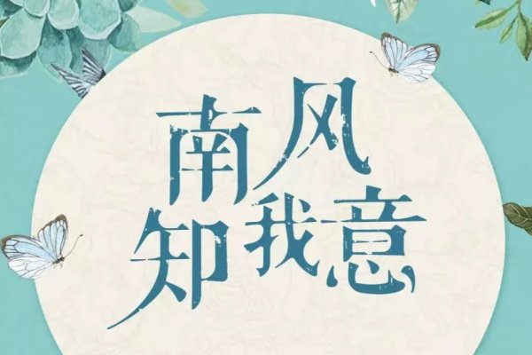 南风知我意原著小说叫什么