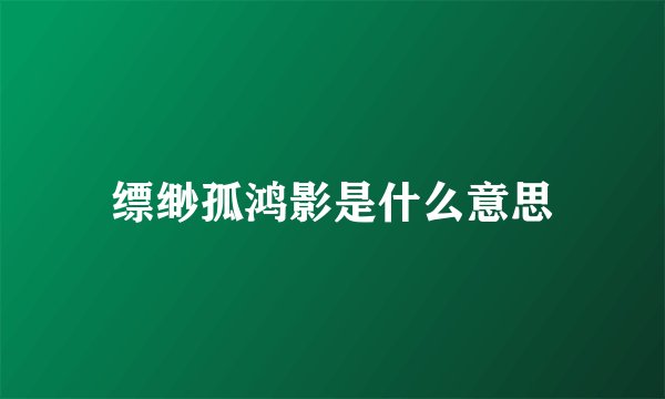 缥缈孤鸿影是什么意思
