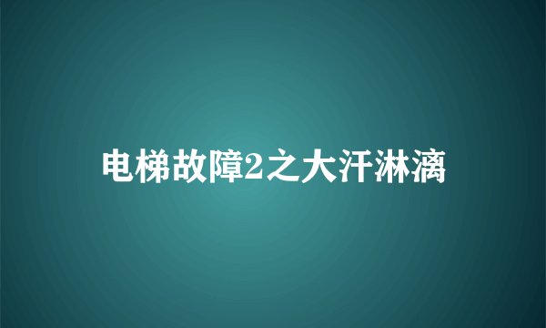 电梯故障2之大汗淋漓