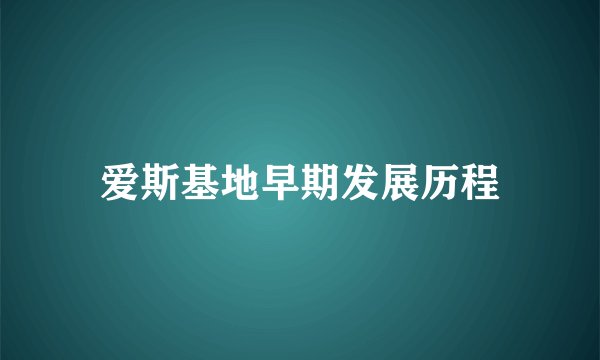 爱斯基地早期发展历程