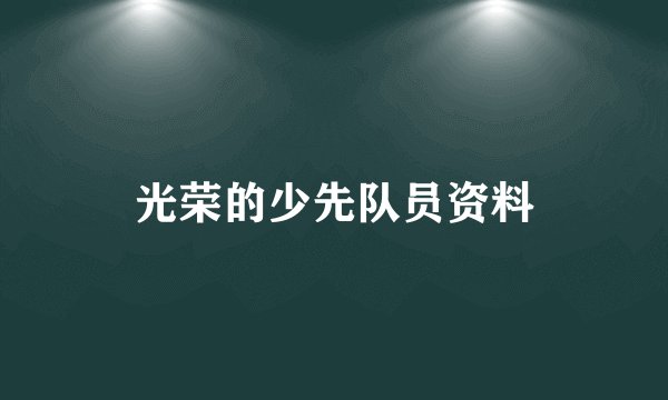 光荣的少先队员资料