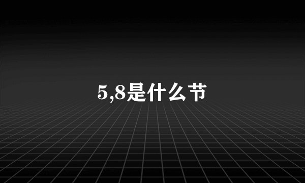 5,8是什么节