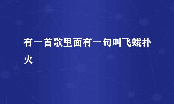 有一首歌里面有一句叫飞蛾扑火