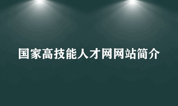 国家高技能人才网网站简介