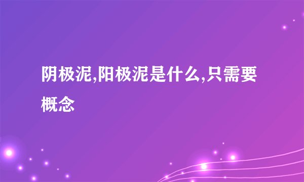 阴极泥,阳极泥是什么,只需要概念