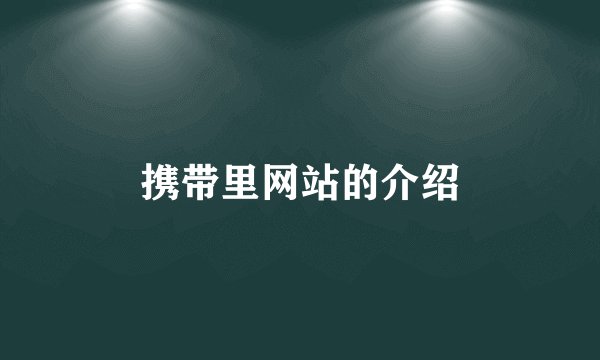 携带里网站的介绍