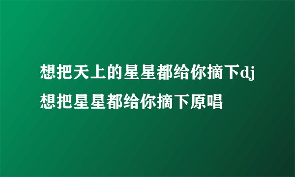 想把天上的星星都给你摘下dj想把星星都给你摘下原唱