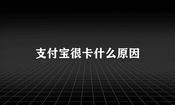 支付宝很卡什么原因