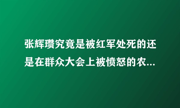张辉瓒究竟是被红军处死的还是在群众大会上被愤怒的农民杀死的？