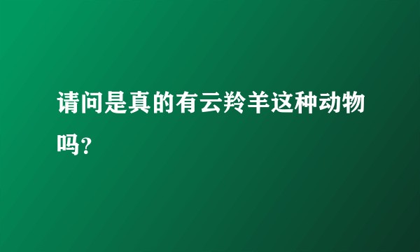 请问是真的有云羚羊这种动物吗？