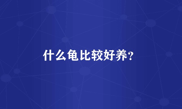 什么龟比较好养？