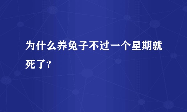 为什么养兔子不过一个星期就死了?