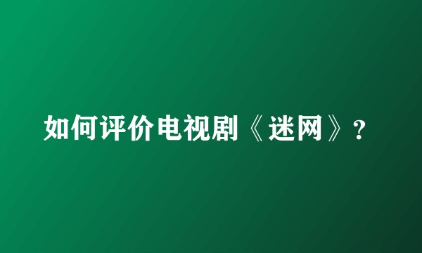 如何评价电视剧《迷网》？